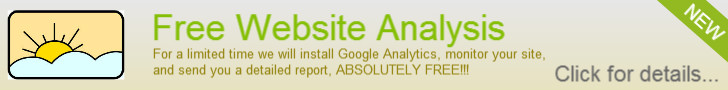 website analysis