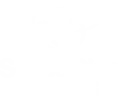Scuba Dive Marketing and Web Design